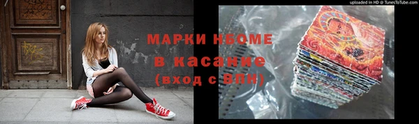 гашик Алексин