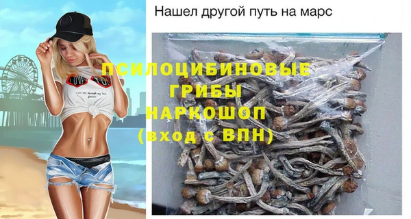 гашик Алексин