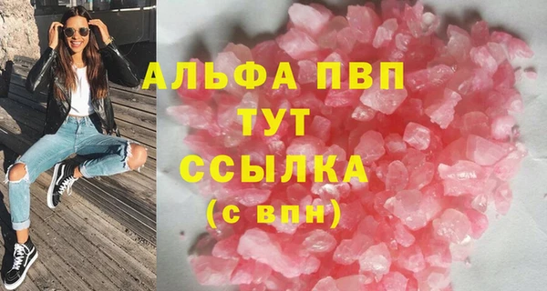 гашик Алексин
