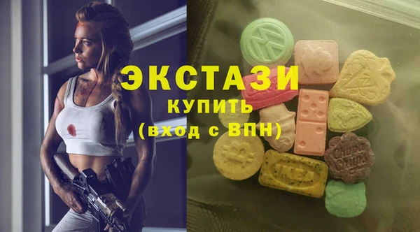 гашик Алексин
